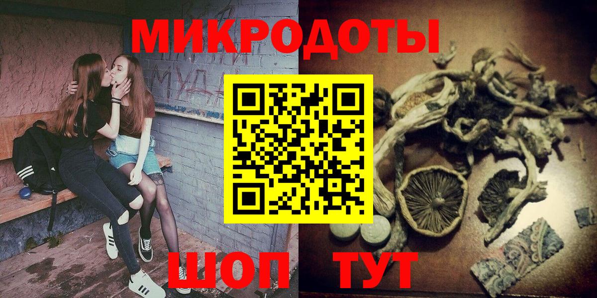 Псилоцибиновые грибы Cubensis Коломна