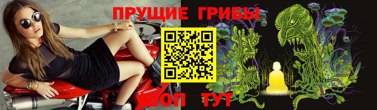 как найти закладки  Псилоцибиновые грибы прущие грибы  Коломна  Вход с VPN  Галлюциногенные грибы Magic Shrooms 